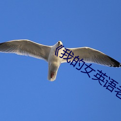 《我的女英语老师》韩国
