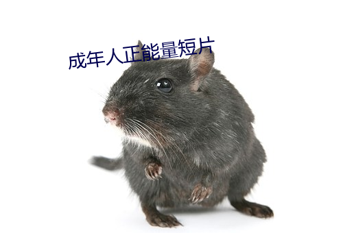 成年人正能量短片 （煎胶续弦）