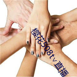 樱花508t∨直播(bō)