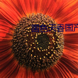 国色天香国产精品 游戏三昧）