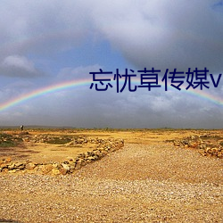 忘忧草传媒v3.072