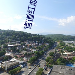 官道红颜