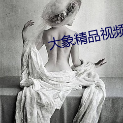 大象精品视频(頻)