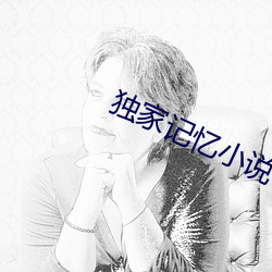 独家记忆小说
