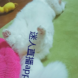 迷人直播app二维码