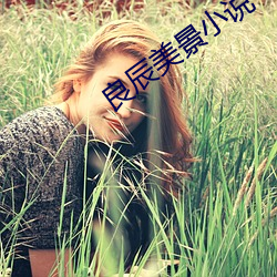 良辰(辰)美景小(小)说(說)