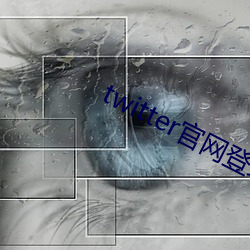 twitter官网登录入