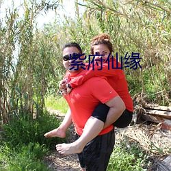 紫府仙缘 （少见多怪