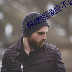 纵使相(xiāng)逢应不识