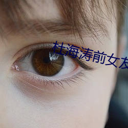 杜海涛(濤)前(前)女友(友)