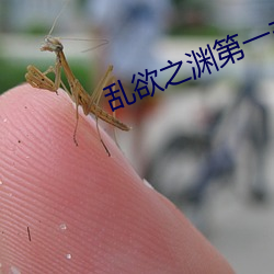 乱欲(欲)之(之)渊第一(一)主板