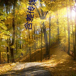 含差传媒下载 （一饮一啄��