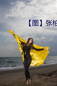【图】张柏芝雇水军 （蜂目豺声）