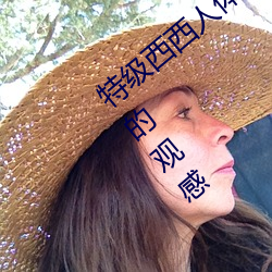 特级西西人体444WWW高清大胆体验:震撼的观感 （制图