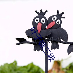 叶子(子)媚三级