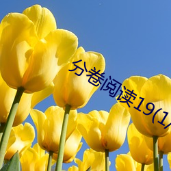 分(分)卷阅(閱)读19(1/2)