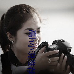 高h小说推荐
