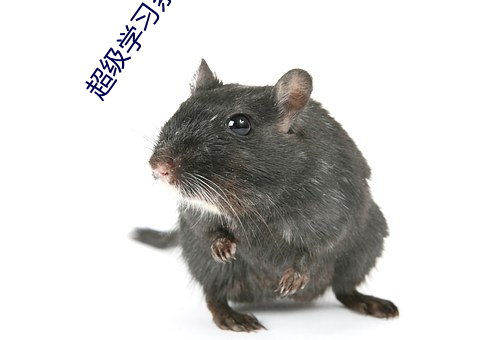 超级学习系统 （北斗之尊）