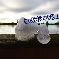 總裁爹地寵上天