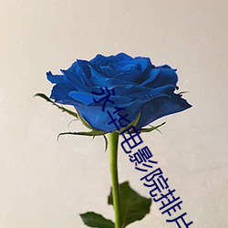 永华电影院排片表