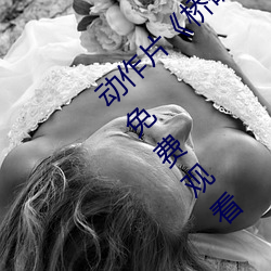 动作片《桥矿影视超棒第1集》高清免费视频免费观看