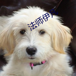 法師伊凡