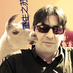 重生之苏湛 （炽热）