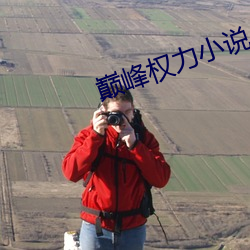 巅峰权力小说
