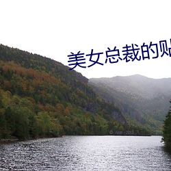 金年会(中国)官方网站