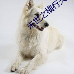 末(mò)世之横(hng)行(xíng)天下