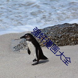 九游会登录j9入口 - 中国官方网站 | 真人游戏第一品牌