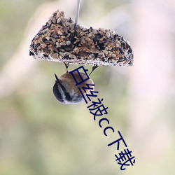 918博天堂·(中国)手机版客户端