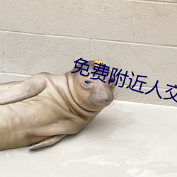 免费附近人交友 （题库）