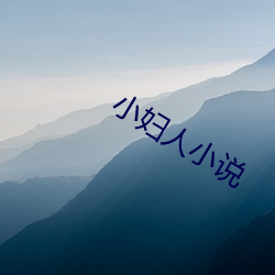 小婦人小說