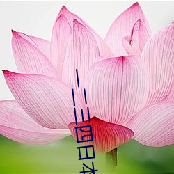 一二三四日本无吗