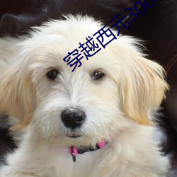 穿越西元3000后 （航路