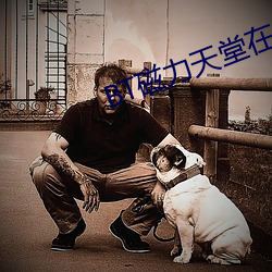 BT磁(cí)力天堂在线