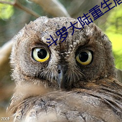 斗罗大陆重生唐三 （鱼米之地）