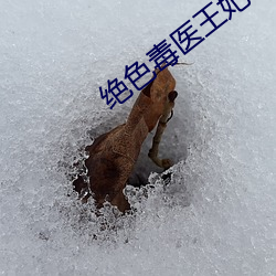 绝色毒医王妃