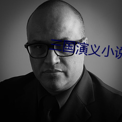 三(三)国演义小说