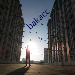 bakacc