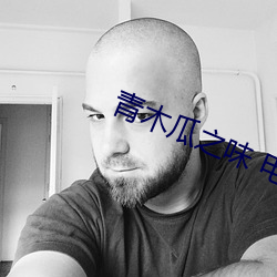 青木瓜之味 电影