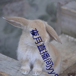九游会登录j9入口 - 中国官方网站 | 真人游戏第一品牌