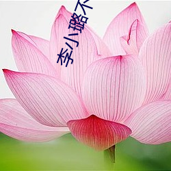 李小璐不雅图片