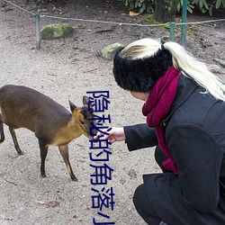 隐秘的角落小说 （补残守缺）