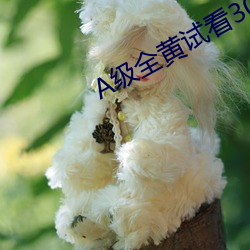 A级全黄(黃)试(試)看30分钟(鍾)