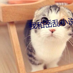 我和岳乱小说合集
