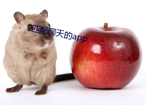 匹配聊天的app 含垢忍污）