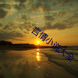 言情小说大全