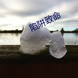 陷阱致(zhì)命